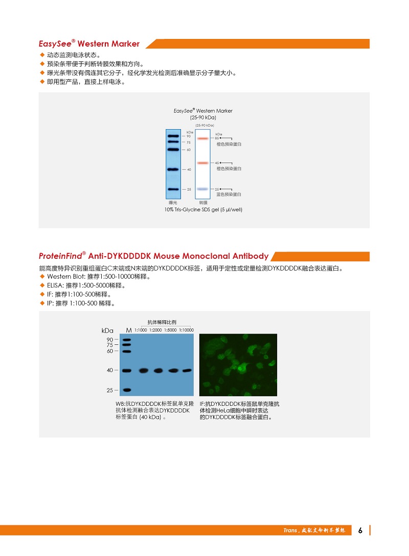 細胞生物學金牌產(chǎn)品7.5折大促，別錯過哦