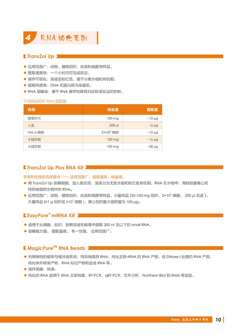 全式金 12周年慶金牌產品推薦（非北京上海廣州深圳地區(qū)）