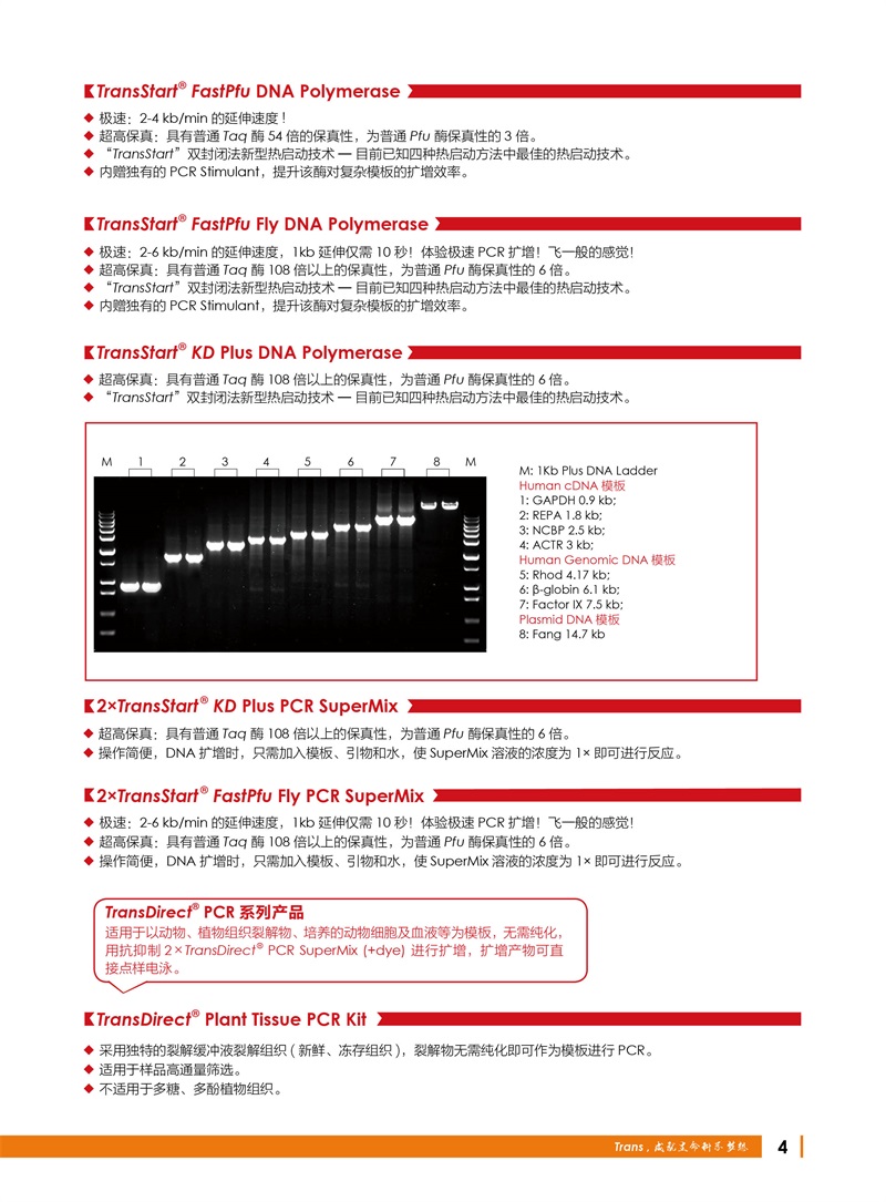 全式金 12周年慶金牌產品推薦（非北京上海廣州深圳地區(qū)）