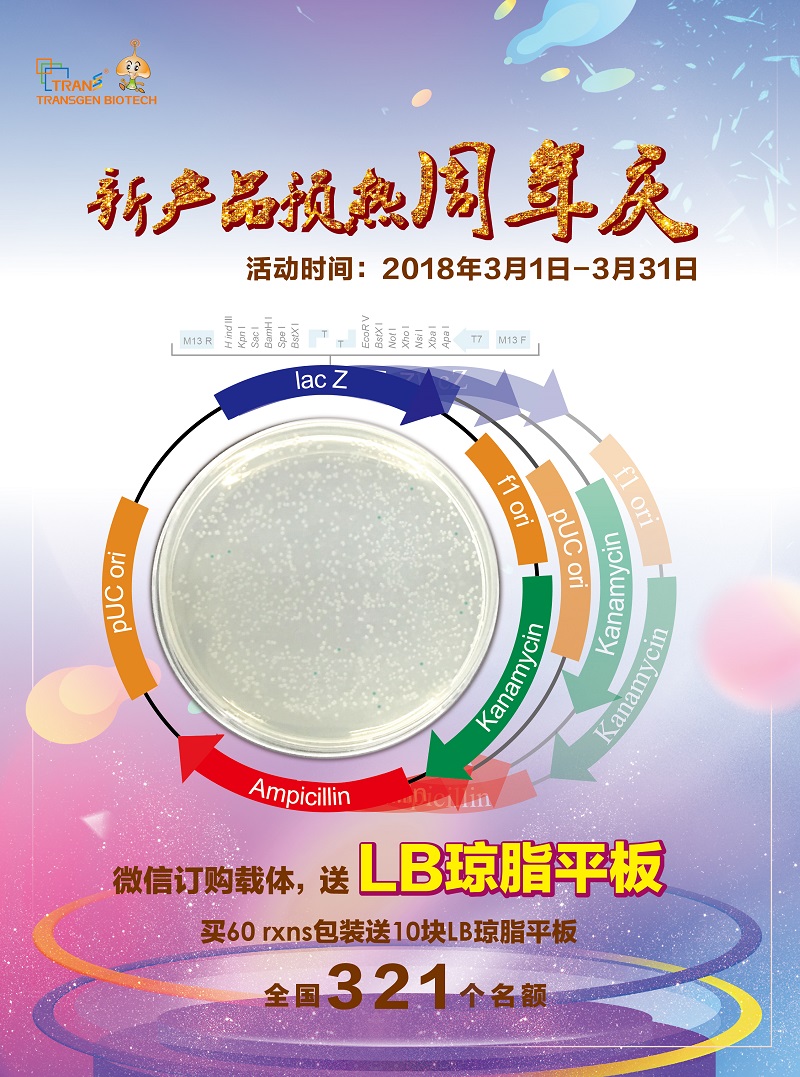 新產(chǎn)品預(yù)熱周年慶，買載體送平板