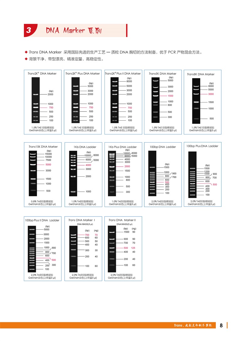 全式金 12周年慶金牌產品推薦（非北京上海廣州深圳地區(qū)）